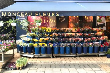 This flower shop in Jiyugaoka even has a French name