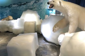 Le Musée des glaces flottantes à Mombetsu