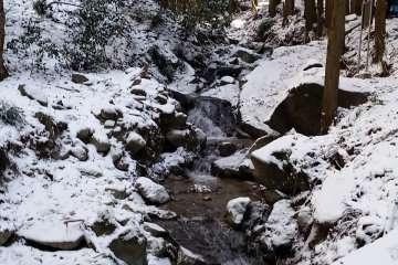 A small waterfall along the main trail