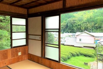 A view of the Green Tea plantation from one of the traditional tatami bedrooms