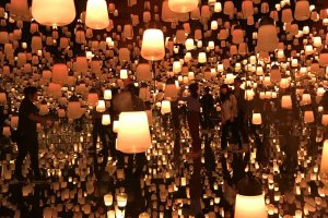 Forest of Lamps