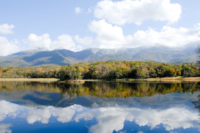 日本北海道知床五湖的秋天