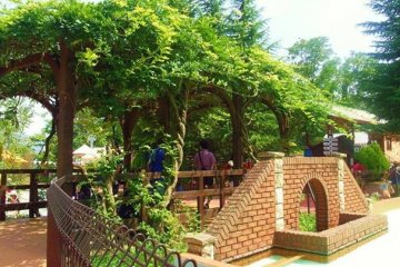 <p>The park has really relaxing and cute spots!</p>