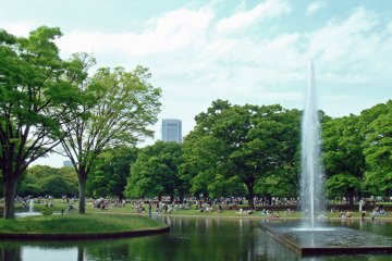 Shibuya City Ward - Parks & Gardens