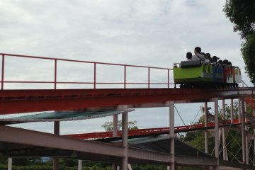 <p>Roller coaster</p>
