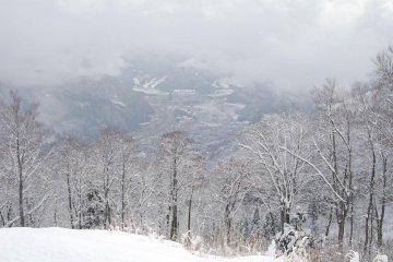 Beautiful winter landscape all around in Yuzawa. 