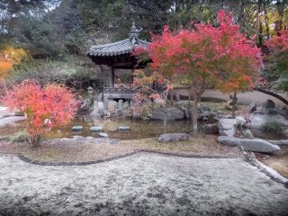 The park's Korean Garden