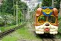 5 Adorable Train Rides in Japan