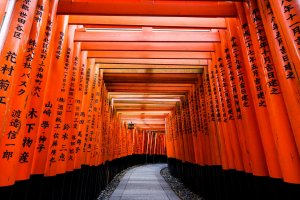 The iconic torii gates at Fushimi Inari