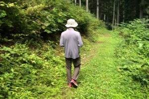 Hiromitsu Seki from the MCT team hiking deeper into the forest