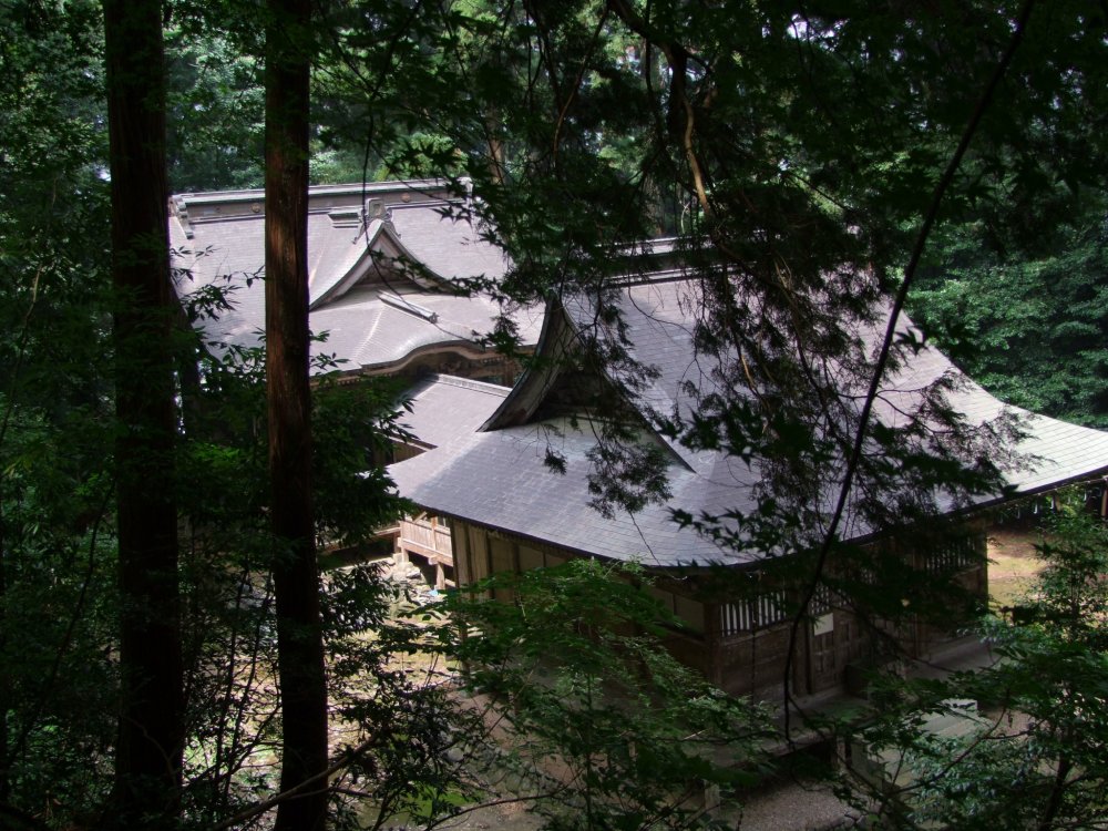 木々が鬱蒼と茂る神社裏から神社を見下ろす