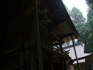 神社横顔