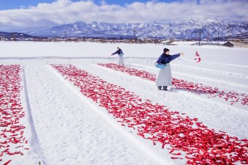 Ladies spreading the chillies out on the snow
