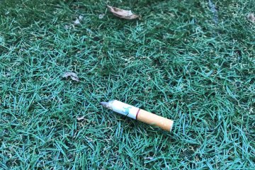 Cigarette butt. “Hama rule” bans littering in the town. Littering garbage, cigarette butts is disallowed. Violators may have to pay a fine of ¥20,000 or less.  