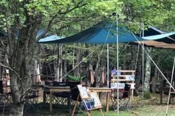 A book cafe in a forest? Why not! Experienced on a guided Forest Therapy session in Japan.