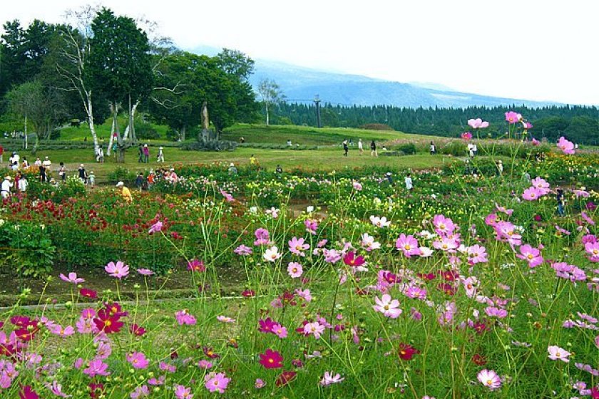 The naturally beautiful Kurohime Plateau