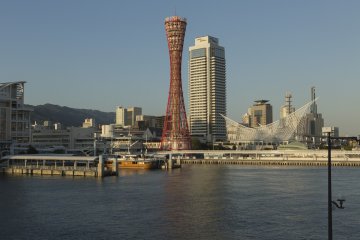Kobe Port Tower offers incredible views during the day but watching the city at night is a whole different experience