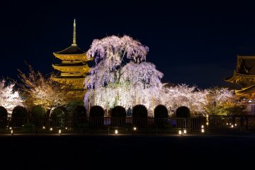 Toji Temple by night
