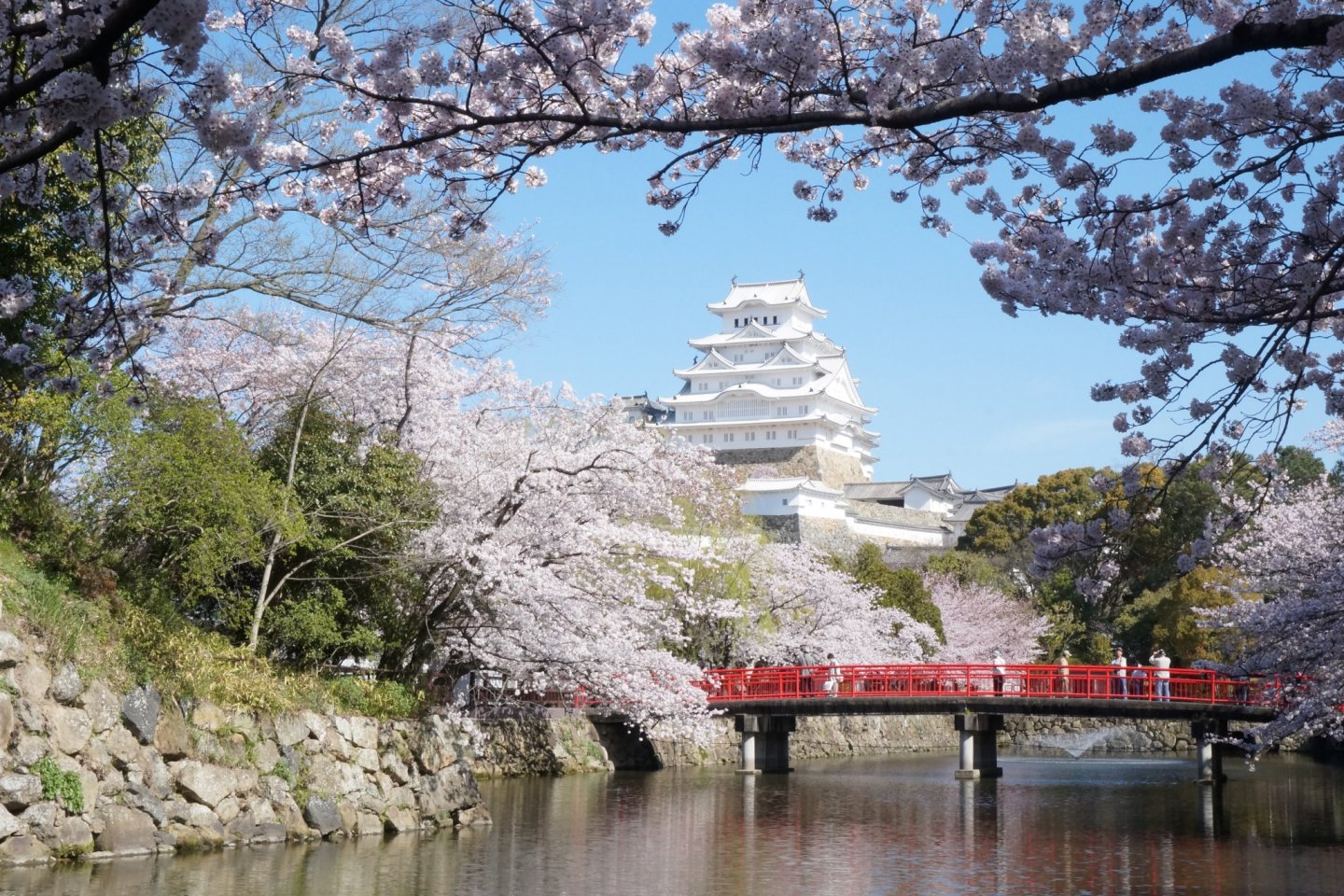 A quintessential springtime scene at Himeji Castle