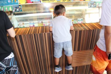<p>Smaller visitors may need a boost to see the available flavors of ice cream</p>