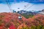 Transit Guide: The Hakone Free Pass