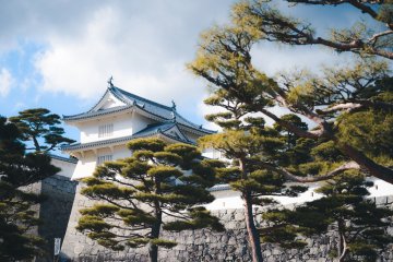 Nihonmatsu Castle 