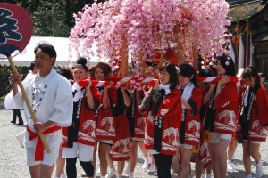 Mikoshi carried by young women during the Kumano Hongu shrine spring festival in April each year. 