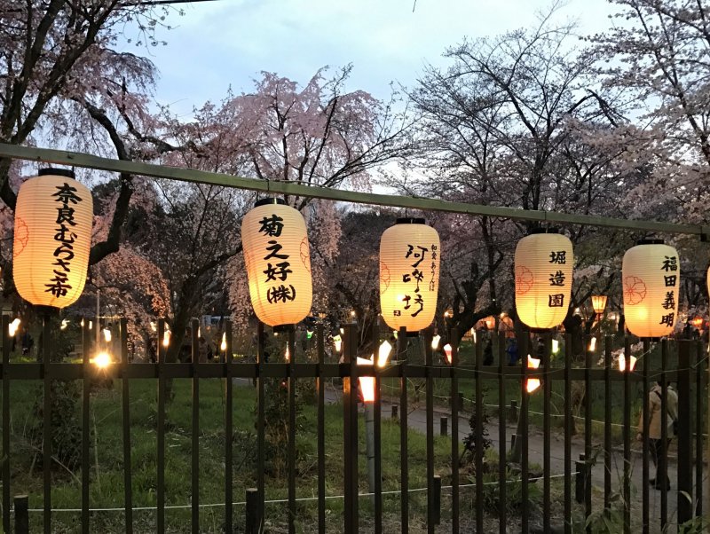 There are many lanterns all around the shrine precincts. 