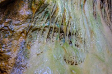 В пещере были найдены интересные скальные образования: окаменелости криноидов (морских лилий), трилобитов, кораллов и многих других существ ранней Земли