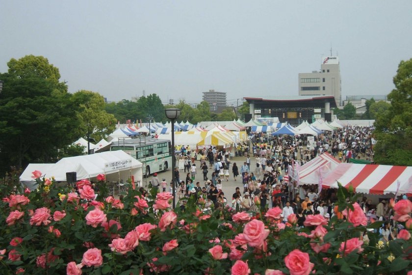 The Fukuyama Rose Festival has been running for over 50 years