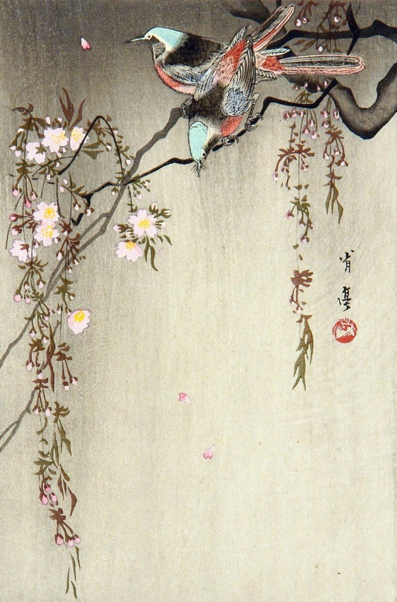 An example of Watanabe Shotei's work - " Two Birds and a Cherry Tree"