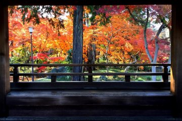 Kitain Temple in autumn
