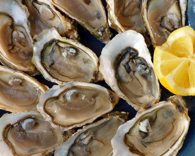 Oysters are a specialty of the Nippo Coast area