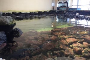 Nagisa Seaside Plaza's aquarium