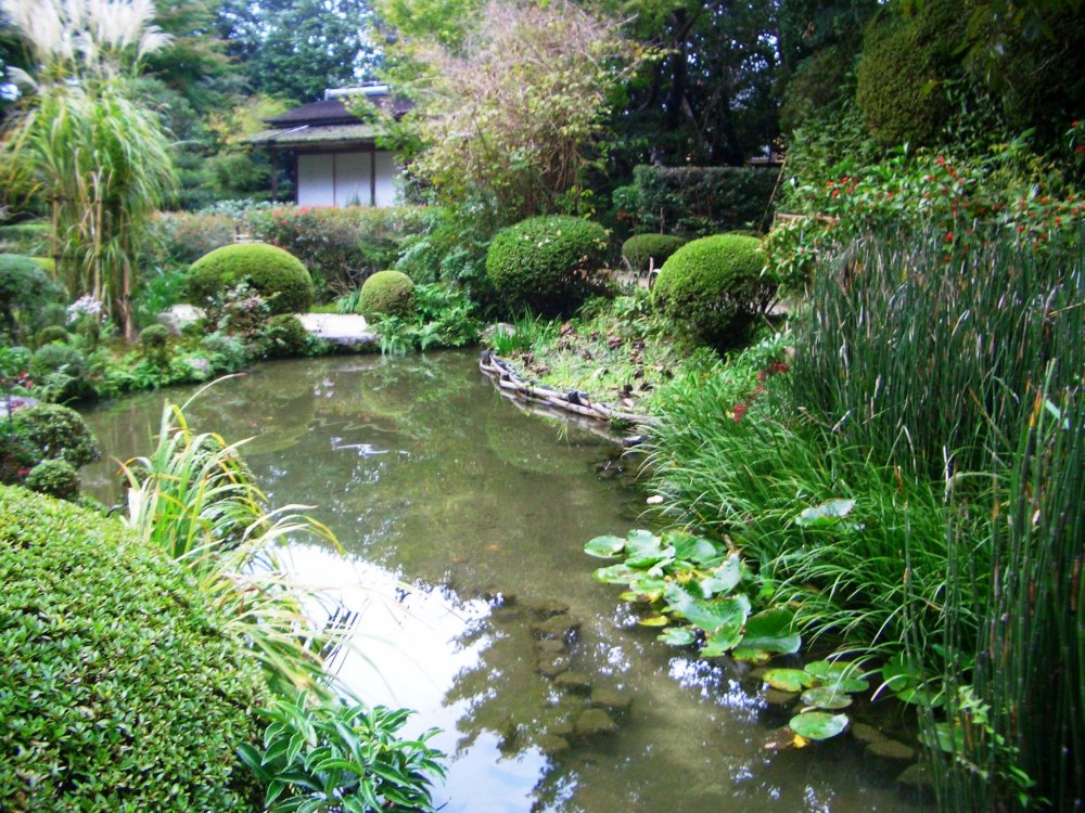 Vườn di sản của đền Shisendo đẹp theo bất cứ cách nào mà bạn nhìn
