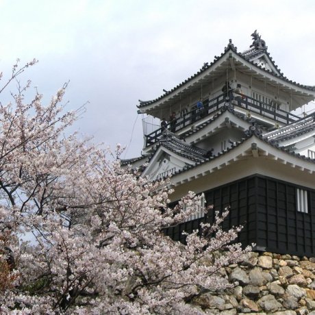 Shizuoka Prefecture's Castle Legacy 