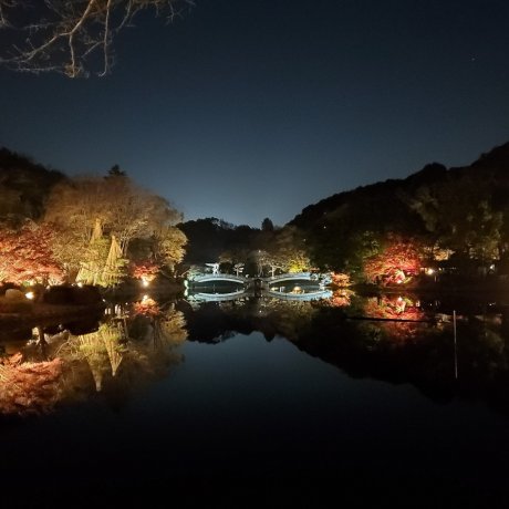 Yakushiike Park Autumn Leaves Festival