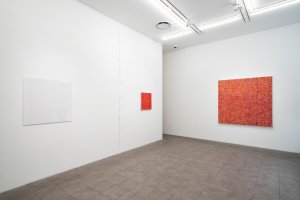 Miyuki Yokomizo Exhibition