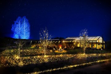 Ibaraki Flower Park Illumination