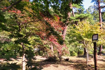 Tsukinoishi Momiji Park, Kami-Nagatoro 