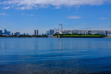 <p>Попробуйте виндсёрфинг в заливе Токио</p>