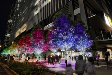 Akihabara UDX Illumination