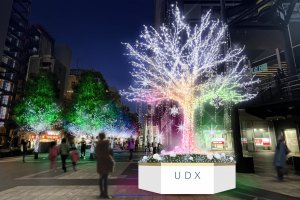 The centerpiece is a 6.5 meter high tree, illuminated in bright white