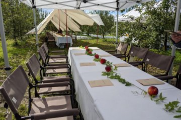 Dining under the apple trees