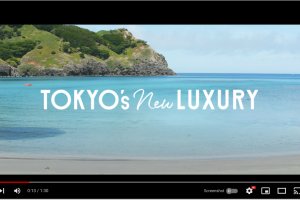 One City, Two Worlds: A Virtual Journey to the Islands of Tokyo