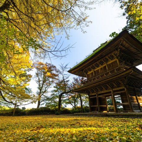 A Virtual Tour of Villages in Nature: Akiruno and Hinohara