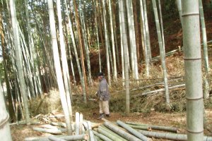 山林の管理で「竹」「木材」を道具や薪に加工し利用







