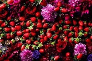 Strawberry Events to Enjoy This Winter