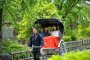 Virtual Event: Traditional Adventures and Relaxation in Kamakura, Japan