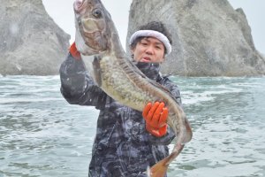 Miyako Pacific Cod Festival